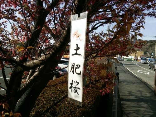 土肥温泉の共同湯