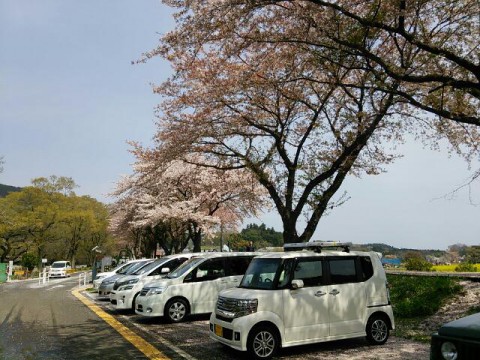 日和田山 花見登山