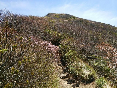 磐梯山頂