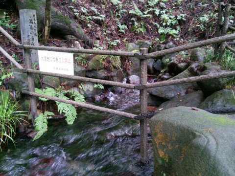 群馬県 箱島湧水