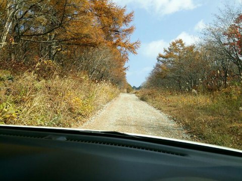 紅葉の山へ