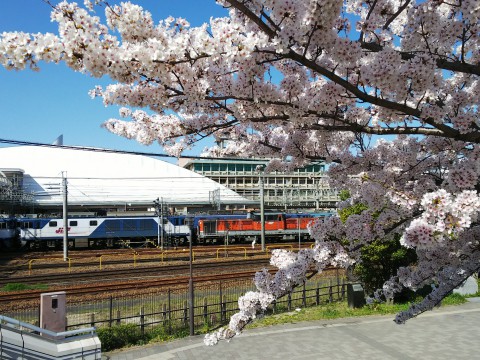 愛知県稲沢駅で撮り鉄