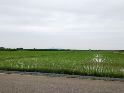 日本一の長距離貨物列車 札幌→福岡