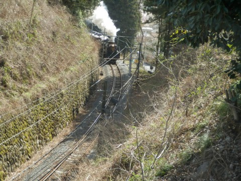 浦山ダムカレー玉砕