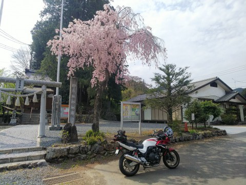 浦山ダムカレー