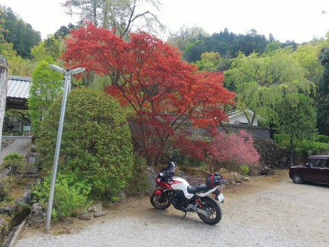 龍河山 大渕寺