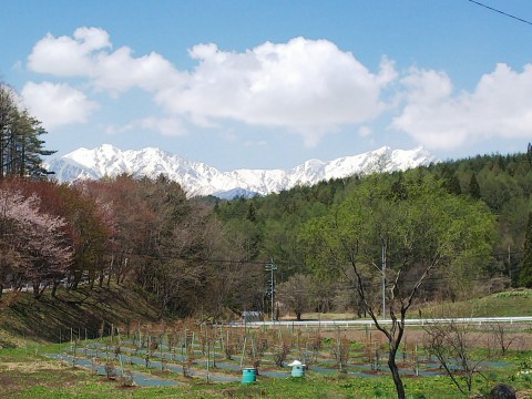 木崎湖