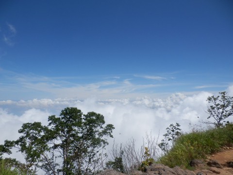 妙高山 山頂