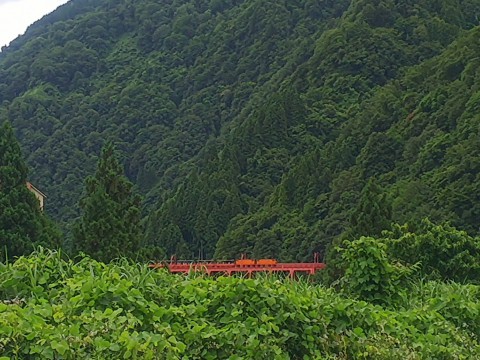 宇奈月温泉 とちの湯