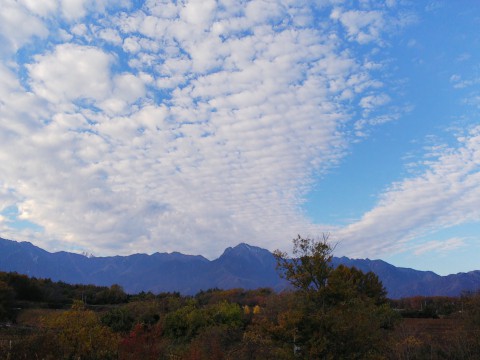 八ヶ岳PAの天玉うどん