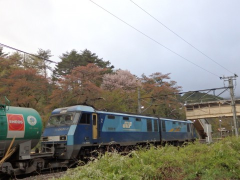 篠ノ井線 冠着駅の桜