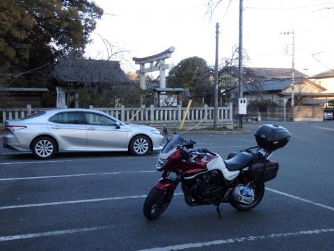 八雲神社の藤の木