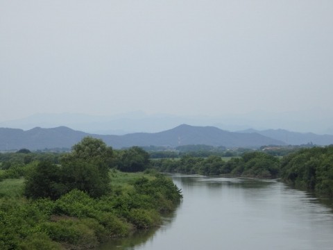 渡良瀬遊水地