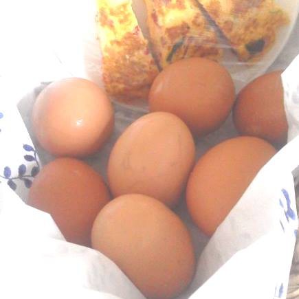 美味しい卵を美味しくいただきます