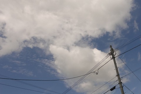 夏休みの宿題で