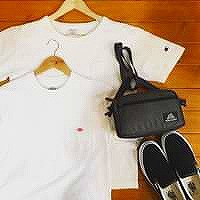 DANTO Champion VANS GREGORY