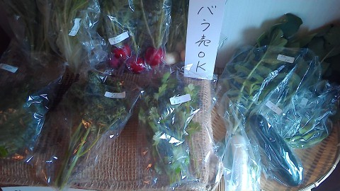 野菜大量!