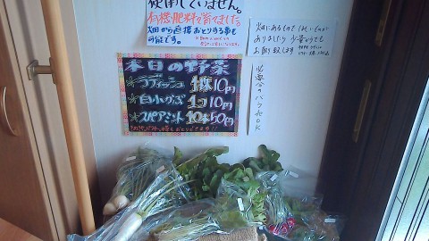 本日の激安野菜達(^ー^* )