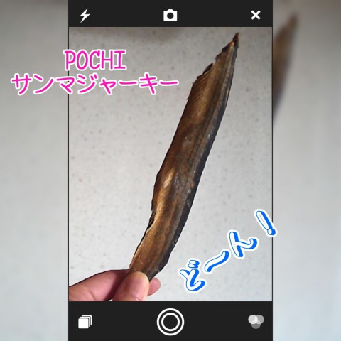 来週のわんご飯♪気になる『あいつ』が登場!