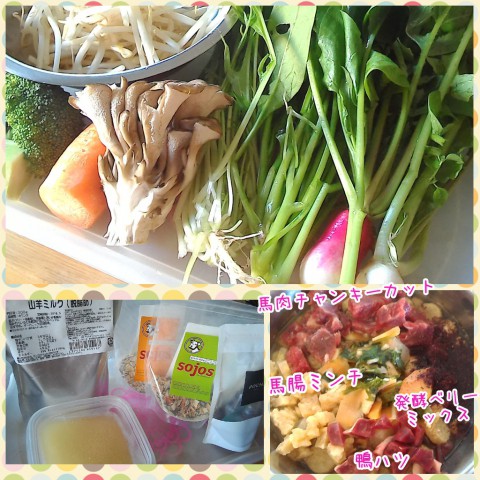 今週のわんご飯♪馬腸&ハツ