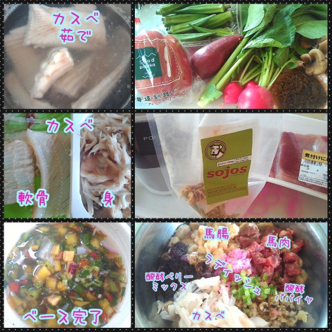 来週のわんご飯♪カスベでツヤツヤ?