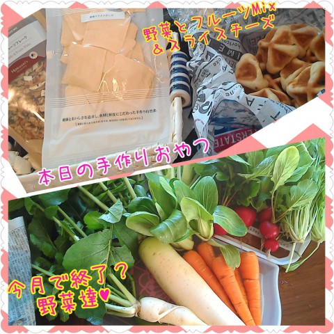本日のご案内(^O^)