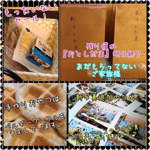 明日のお知らせ♪ おとしだま貰った?