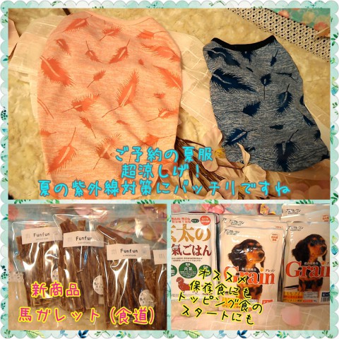 新商品&ご予約の夏服到着♥