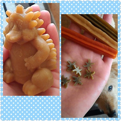 福袋追加&ウィムズィーズ!