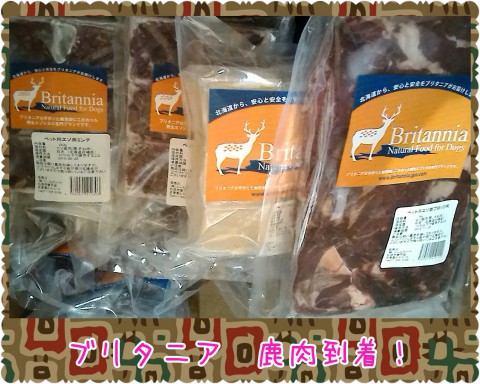 鹿肉入荷しました♪