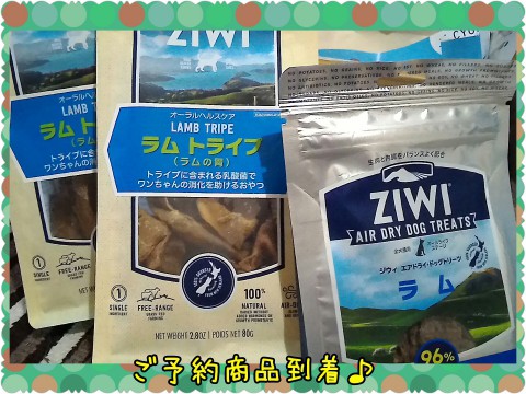 明日のお知らせ♪シフォンケーキ?
