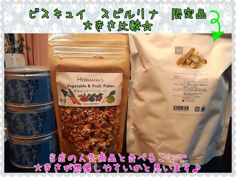 オススメ&入荷♪