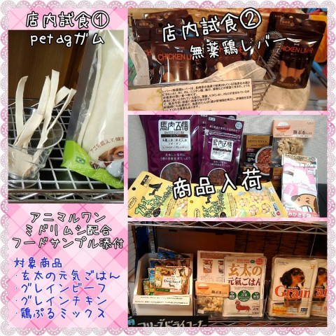 明日のお知らせ&入荷情報♪