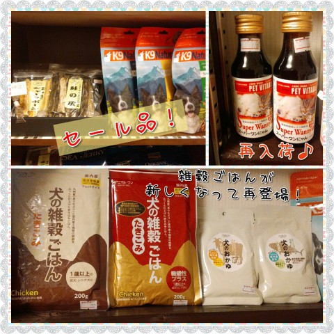 再登場!