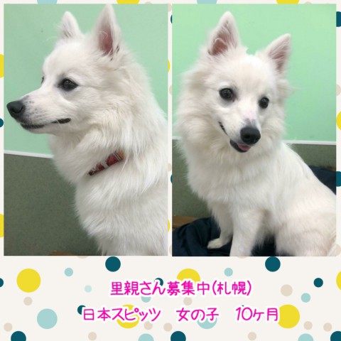 里親募集中