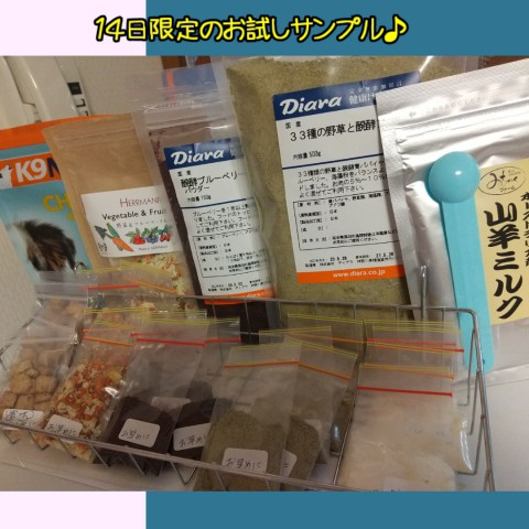 明日のお知らせ♪