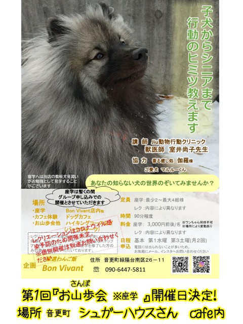 おさんぽかい開催日決定!