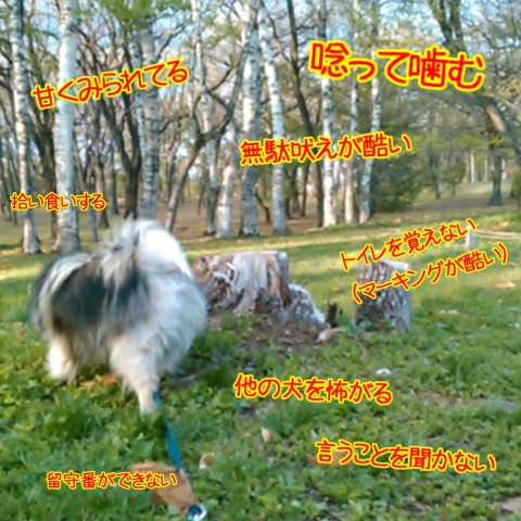 お山歩会(座学)募集中!