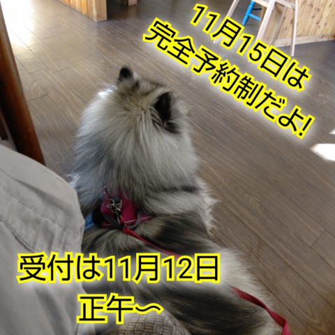 完全予約制になります