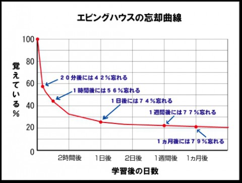 毎日コツコツ