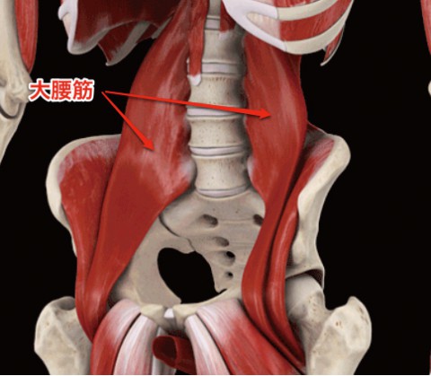 腰痛には・・・