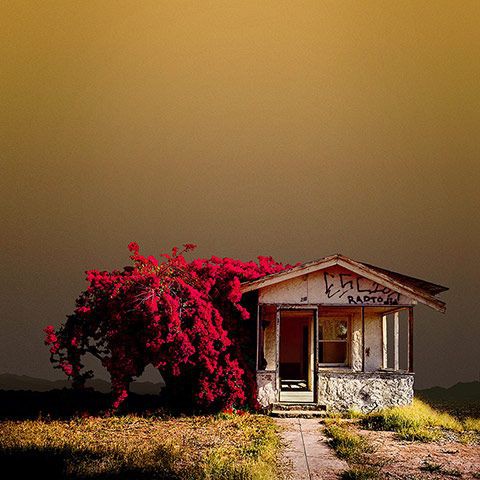 知ってましたか?