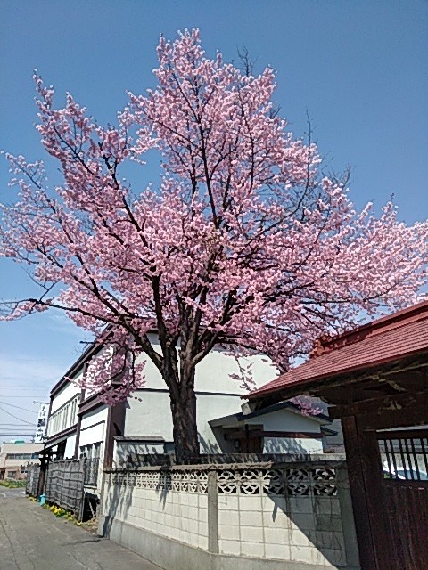 大盛況のうちに終了しました(^-^)/