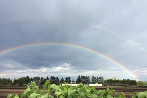 虹 --Rainbow--