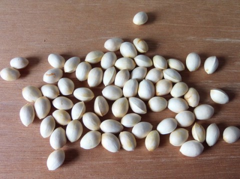 いつかは来ることだけど…