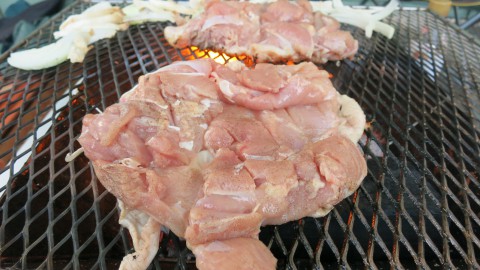 焼き鳥 串 改め....(笑)