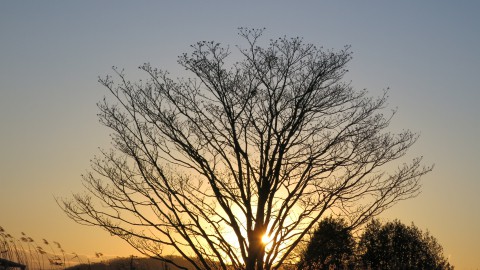 夕日をパシャ