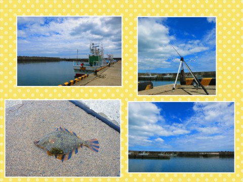 浜大樹漁港でまったり～