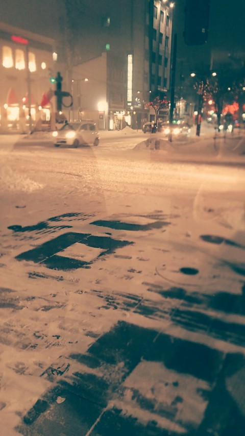 またしても雪。