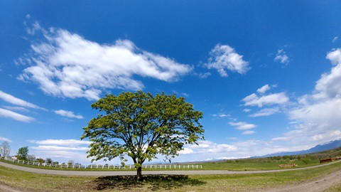 十勝のイメージは牧場風景 その風景なら、ここがおススメ!